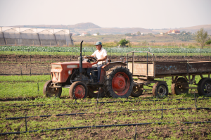 petit-lala-member-of-haba-credit-union-working-in-his-farm